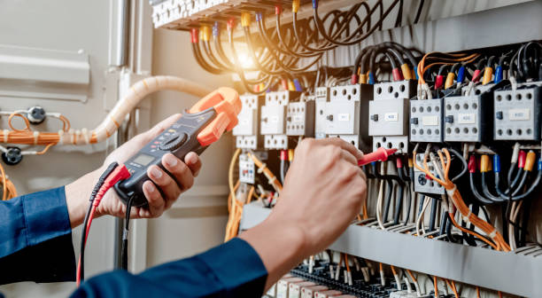 Best Electrician for Home Renovation  in Buffalo, MO